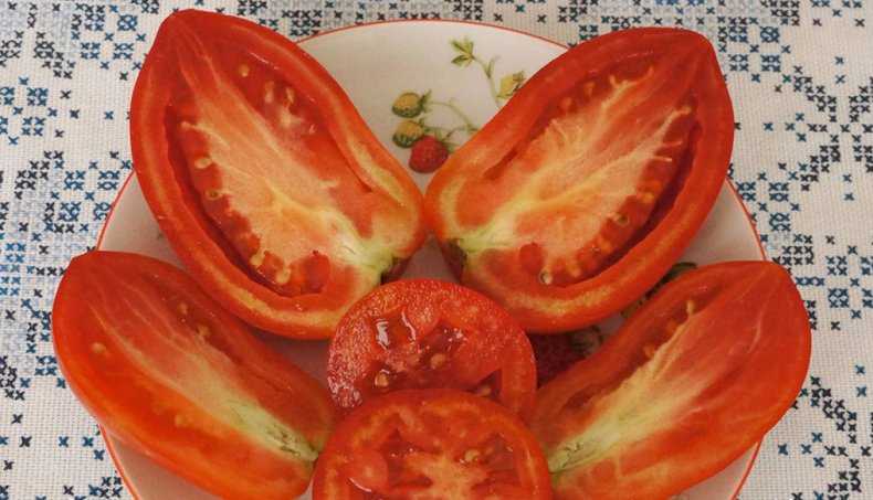 Сибирская тройка: описание сорта томата, характеристики помидоров, посев