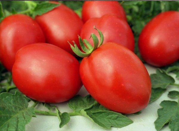 Де барао — томаты универсального применения, отличия разновидностей сорта