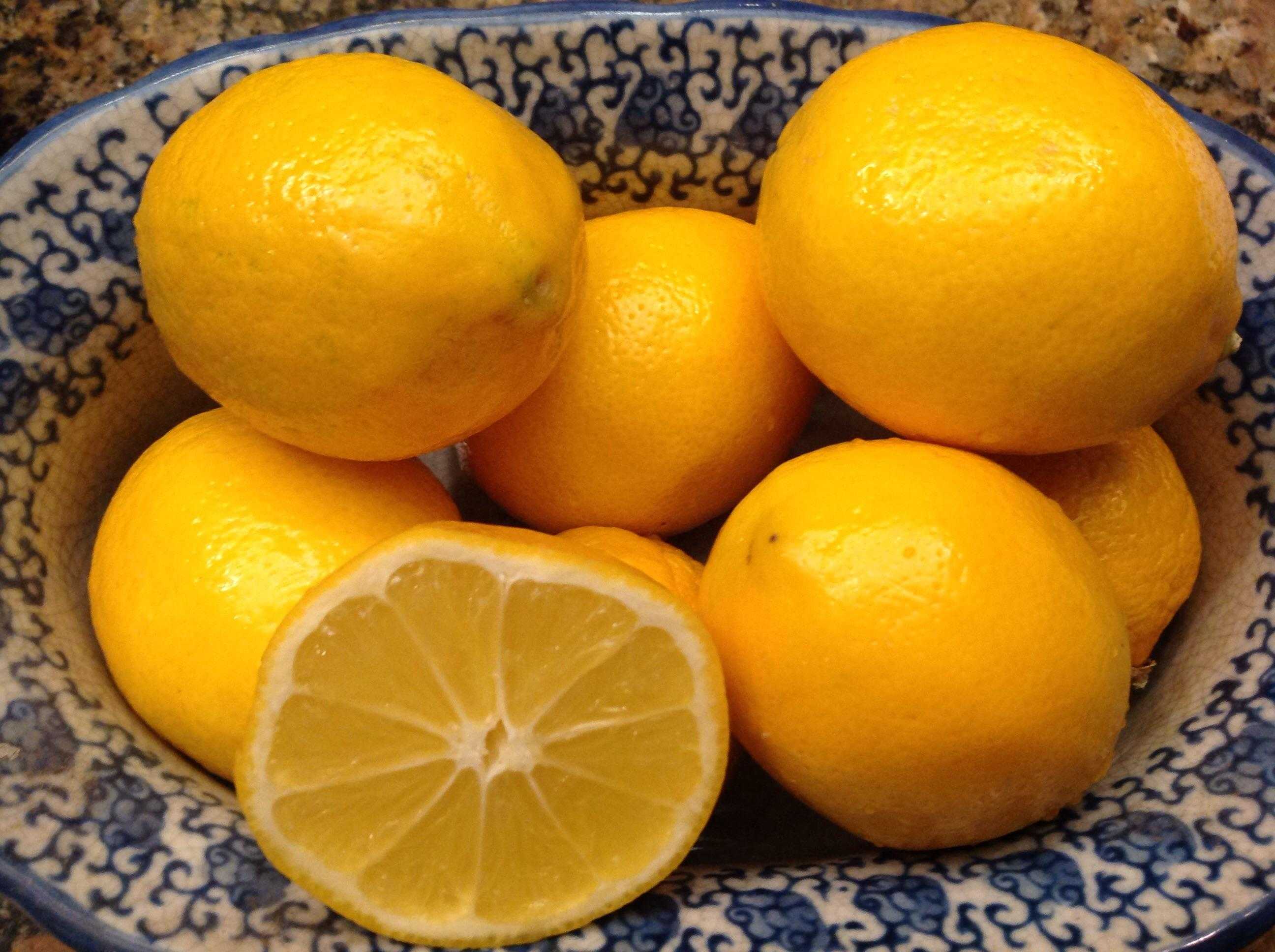 Лимон сорт Мейер