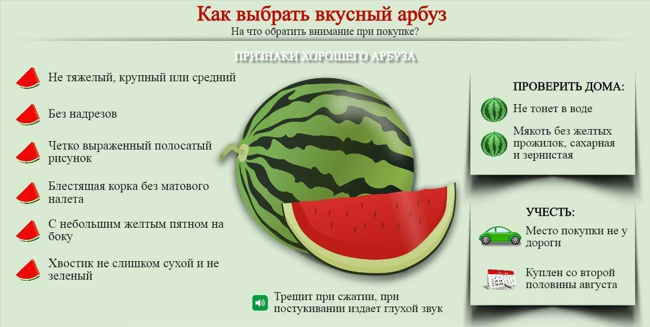M6gmsaabboi fucking watermelon