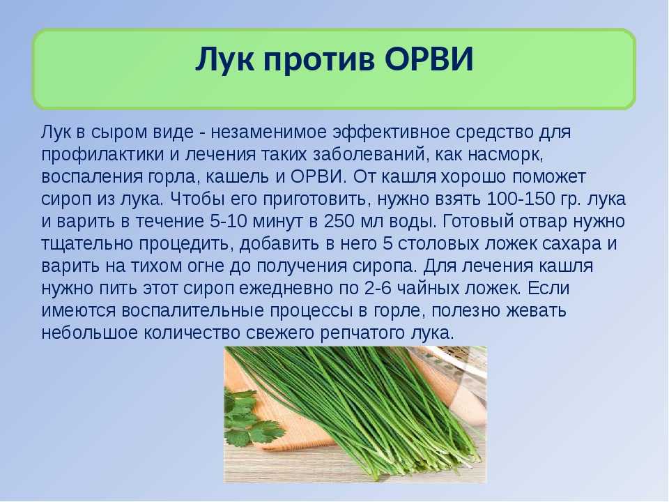 Выращивание салата-латук: как посадить семенами и другим способом, как ухаживать за урожаем и защищать от болезней и вредителей, является ли луком, а также фото