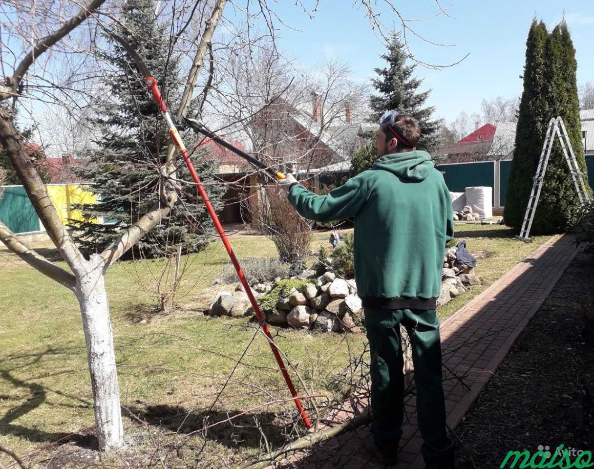 обрезка фото без потери качества