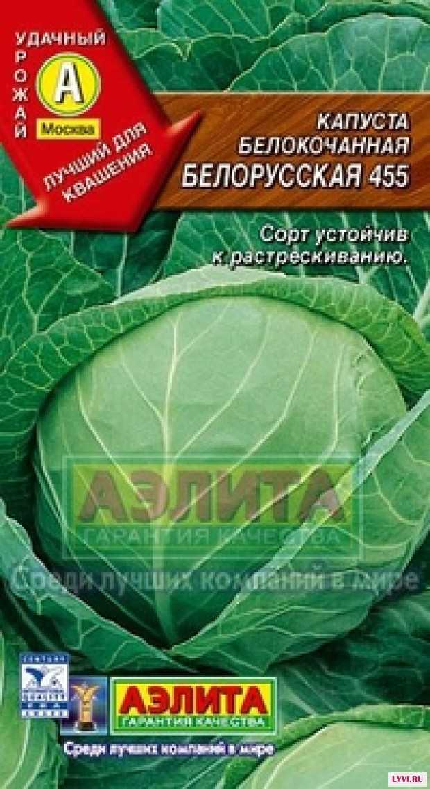 Сорта белокочанной капусты: описание, фото, таблицы