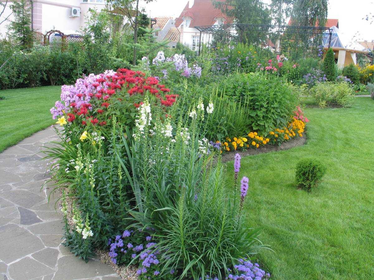 Клумба непрерывного цветения: украшение сада на все сезоны. схемы клумб из однолетних и многолетних цветов (85+ фото & видео) +отзывы