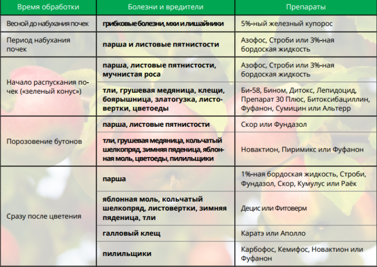 Болезни и вредители сада: обработка весной, в апреле и мае. обработка сада весной от болезней и вредителей
