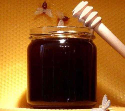 О темном меде: с каких растений (медоносов) сделан, темные сорта меда