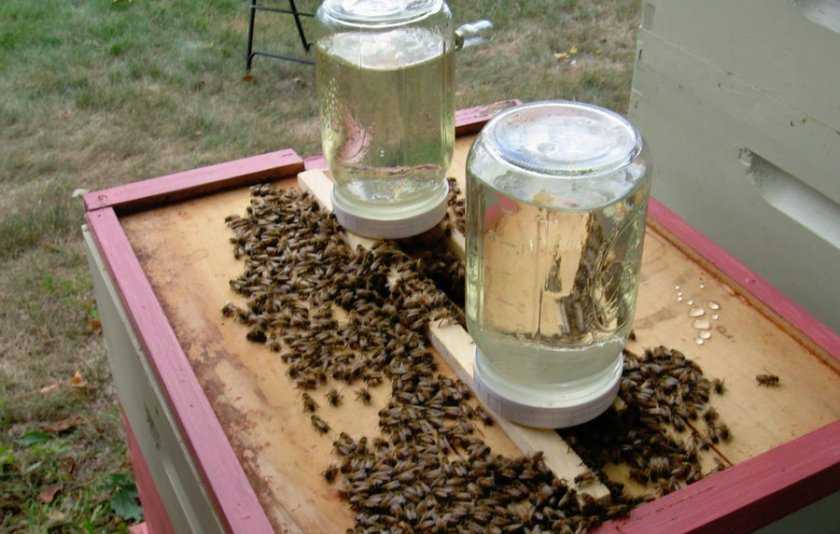 Приготовление сахарного сиропа для пчел