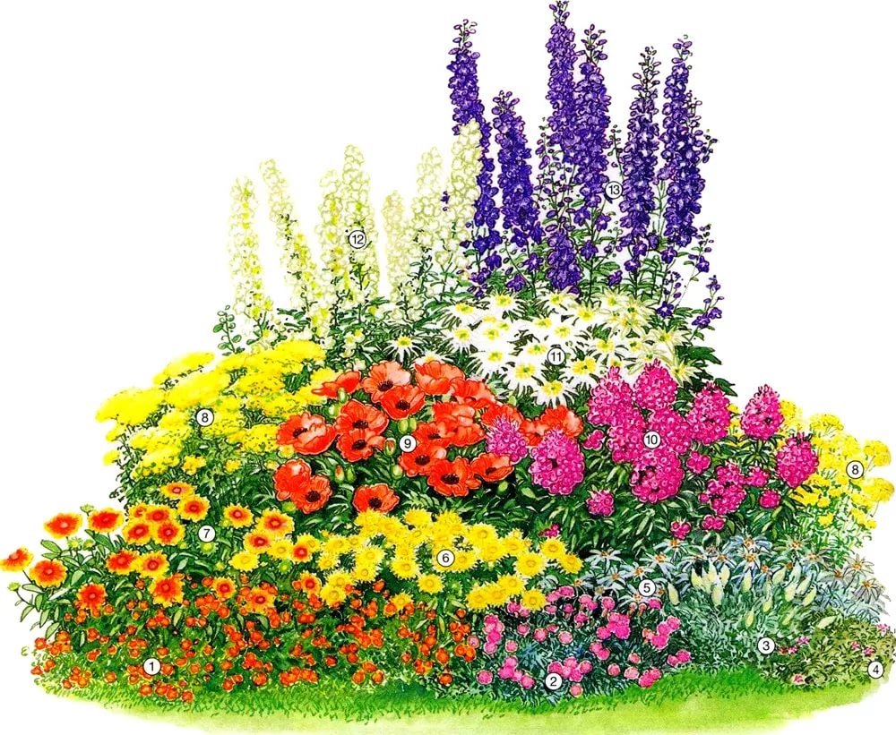 Клумбы из многолетников (98 фото): красивые цветники своими руками на даче, схемы посадки растений непрерывного цветения