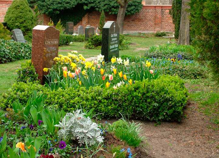 Какие растения можно садить на кладбище, а какие цветы, не нужно сажать на могиле
