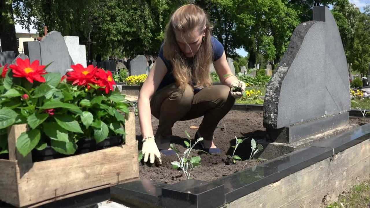 Какие цветы посадить на кладбище: многолетние и неприхотливые растения