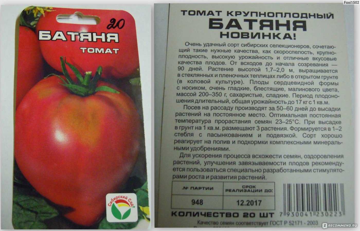 Пелагея томат описание сорта фото