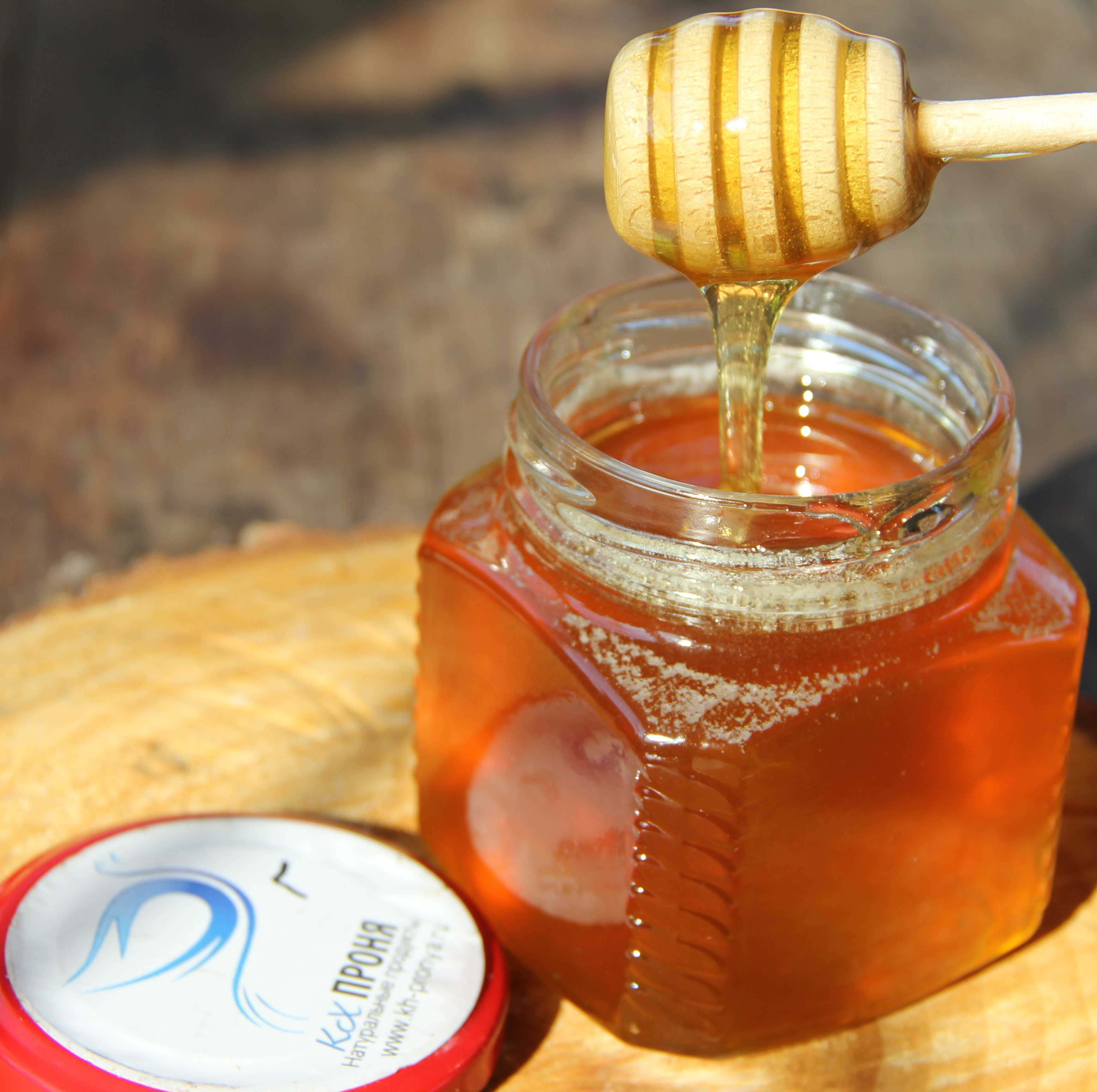 Луговой мед — состав, внешний вид, полезные и лечебные свойства