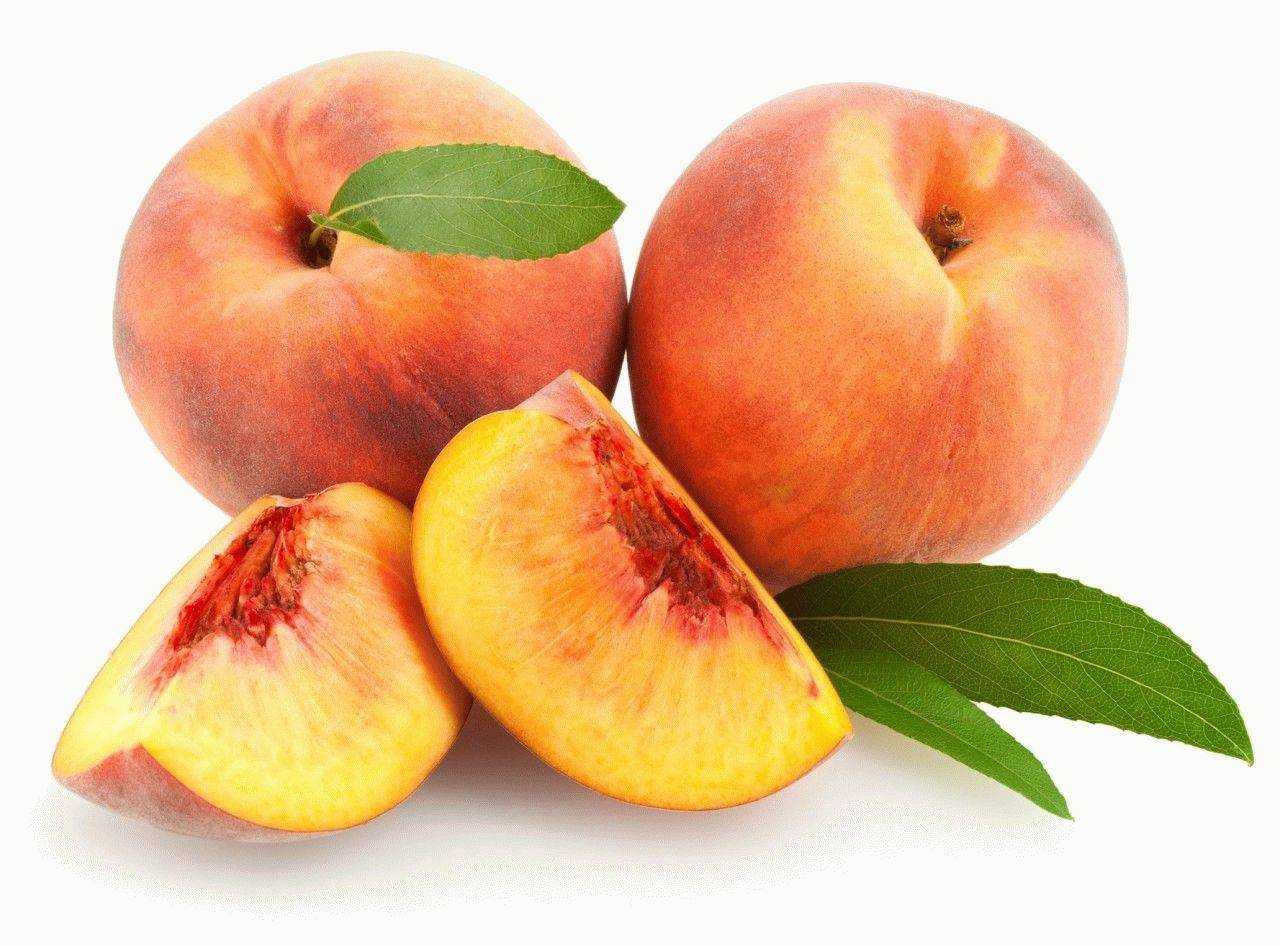 Описание шарафуги – фото гибрида сливы, абрикоса и персика