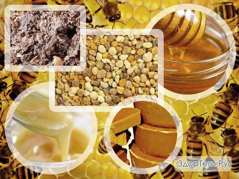Воск (60 фото): применение пчелиного продукта в народной медицине, польза для ли