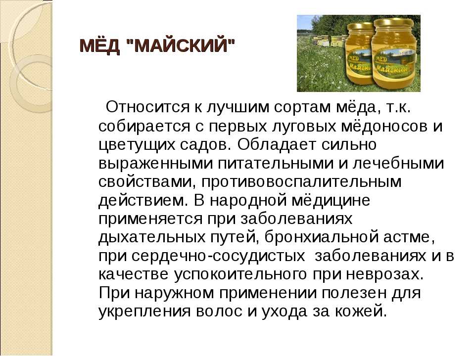 Донниковый мед: лакомство и лекарство
