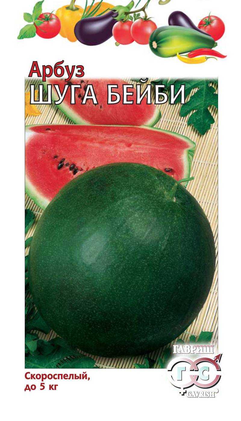 Арбуз шуга бейби: рассматриваем все нюансы