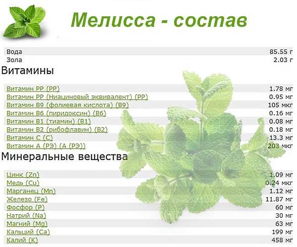 Что за трава мелисса: польза и вред, способы применения и рецепты, выращивание