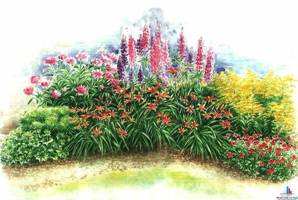 Пионы в саду: секреты идеальных сочетаний для цветников