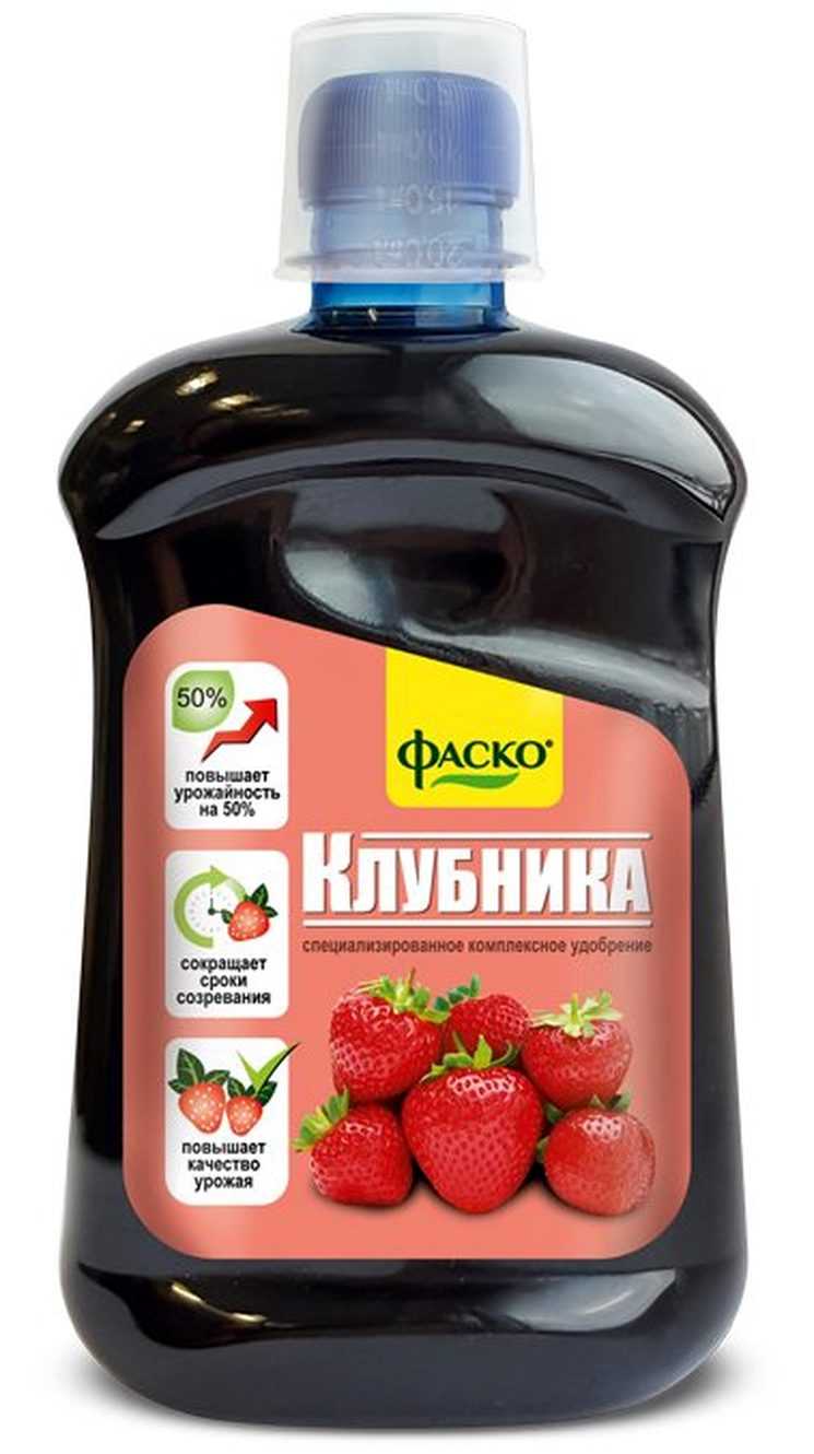 Можно ли удобрить клубнику калием. 1373cf053ff7263fefa5266e03883063. Можно ли удобрить клубнику калием фото. Можно ли удобрить клубнику калием-1373cf053ff7263fefa5266e03883063. картинка Можно ли удобрить клубнику калием. картинка 1373cf053ff7263fefa5266e03883063. Кроме этих питательных составов, клубнику весной удобряют неспецифическими средствами, среди которых можно назвать йод и дрожжи.