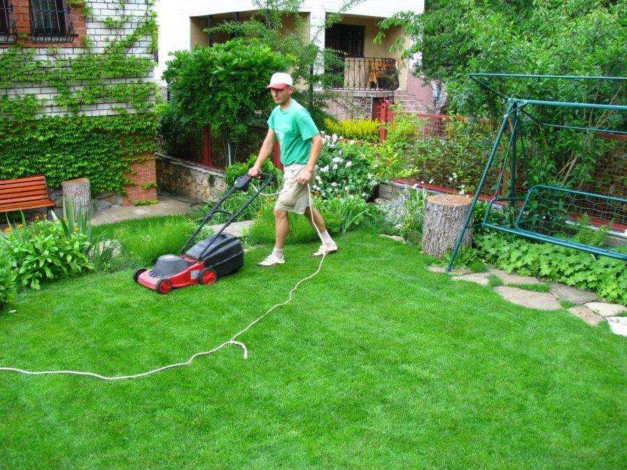 Как сделать газон на даче своими руками — мастер-класс от эксперта