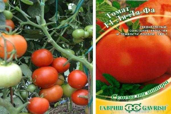 Ля ля фа томат описание. Сорт помидор ля ля фа. Томат Алпатьева 905. Оля-ля-ля томат.
