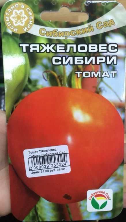 томат слот