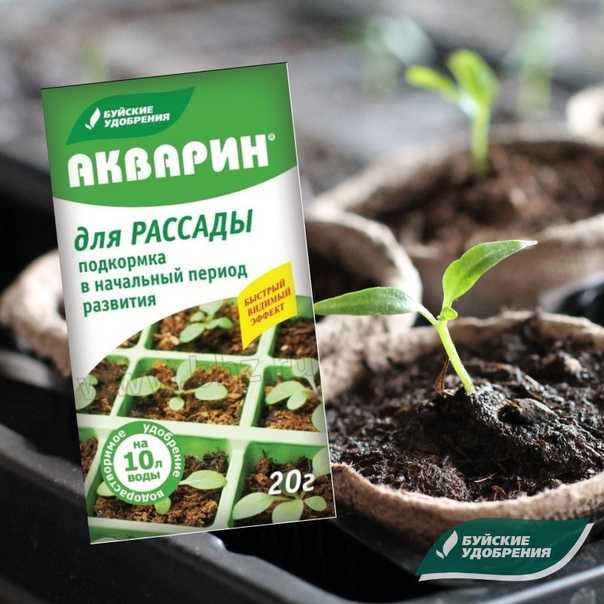 Подкормка золой рассады помидоров и перца: польза народного средства