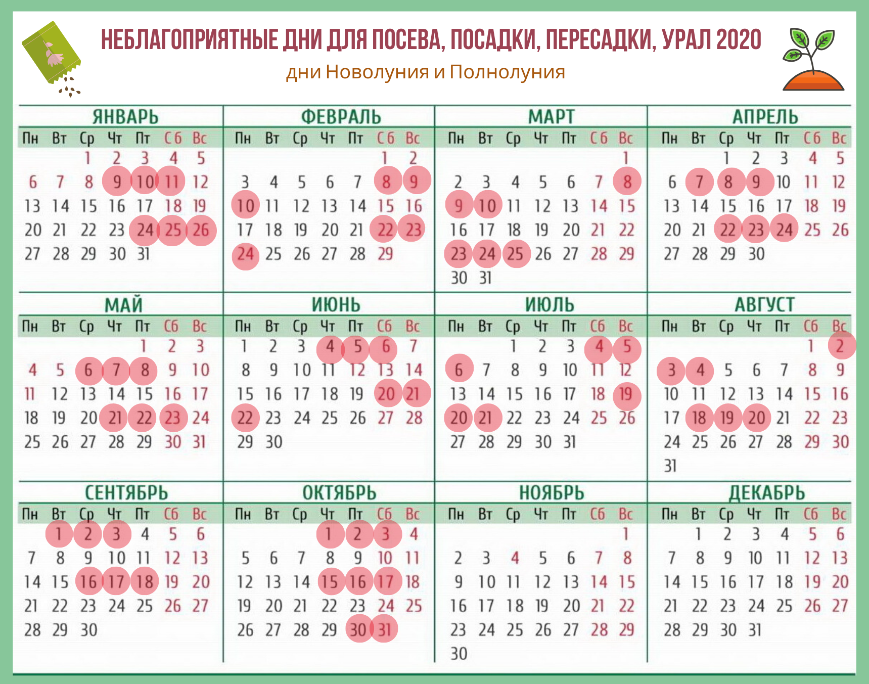 Когда можно пикировать томаты в апреле 2020 года по лунному календарю