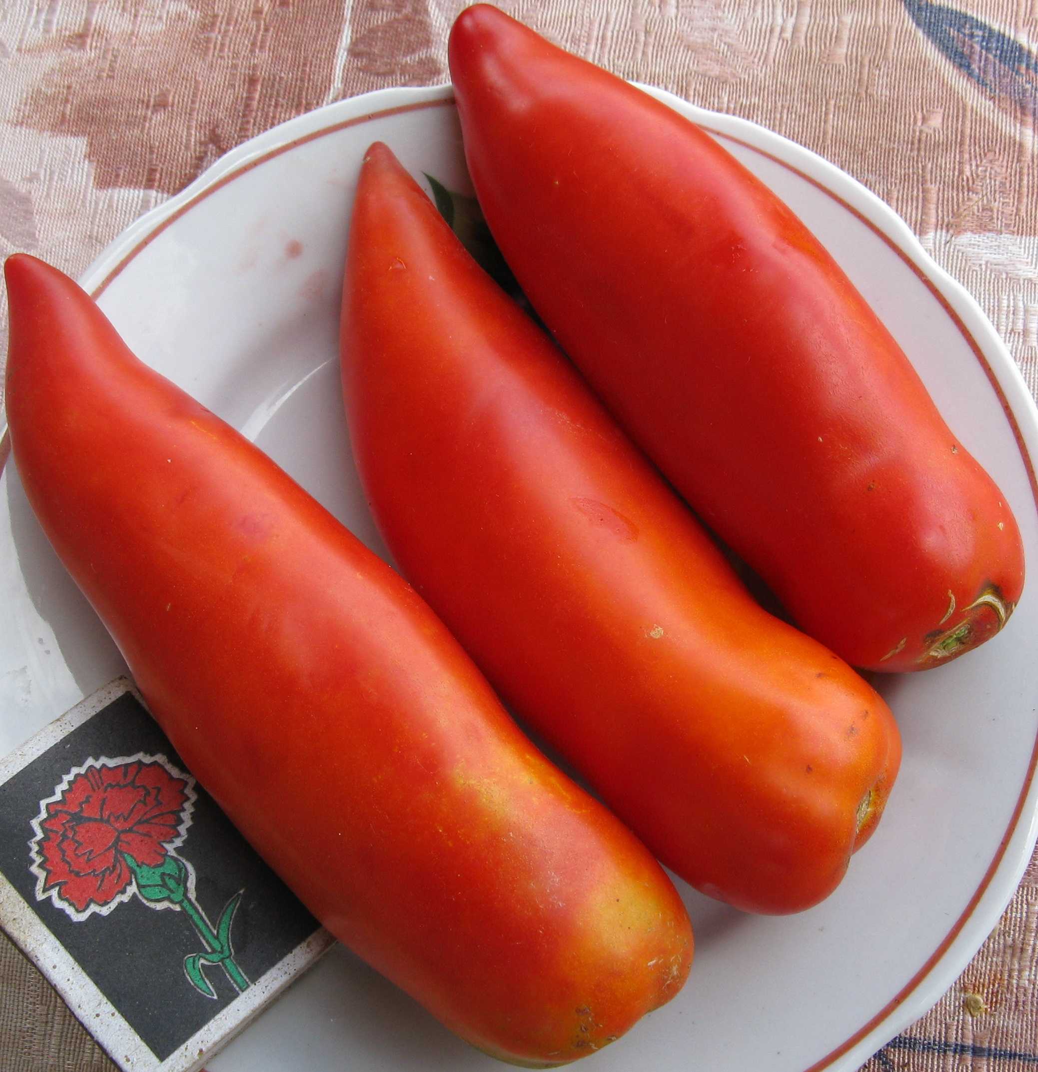 Похожие сорта томатов. Сорт помидор Перцевидный. Томат Перцевидный гигант. Семена томатов Перцевидный гигант. Томат Перцевидный красный.