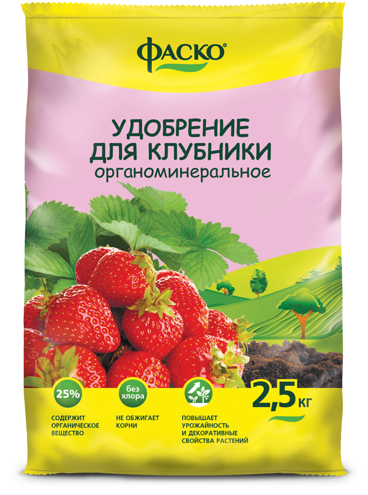 Можно ли удобрить клубнику калием. 2258231df221ceaeedf22e2236ba42ca. Можно ли удобрить клубнику калием фото. Можно ли удобрить клубнику калием-2258231df221ceaeedf22e2236ba42ca. картинка Можно ли удобрить клубнику калием. картинка 2258231df221ceaeedf22e2236ba42ca. Кроме этих питательных составов, клубнику весной удобряют неспецифическими средствами, среди которых можно назвать йод и дрожжи.