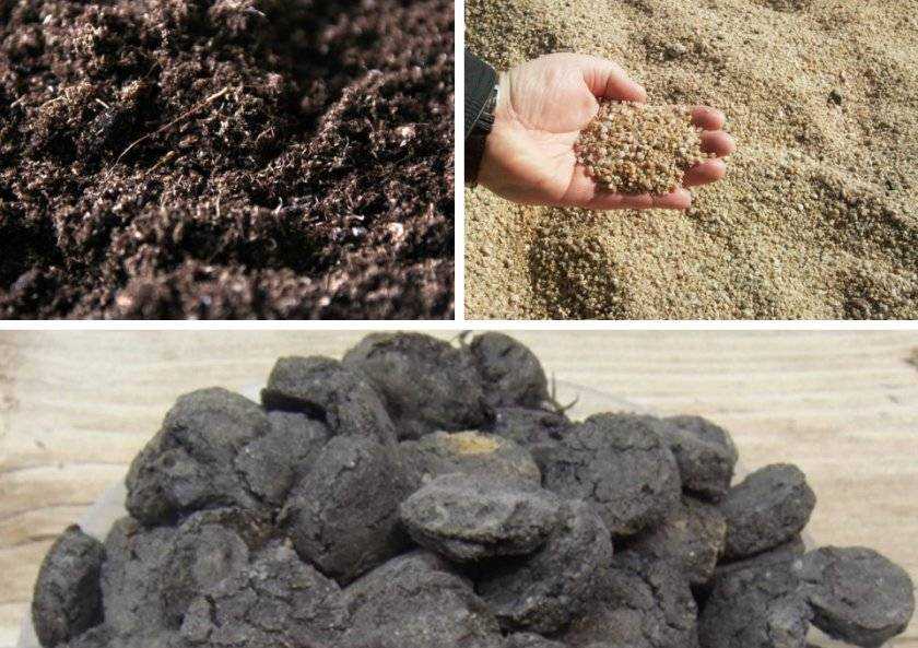 Состав и виды почвогрунта