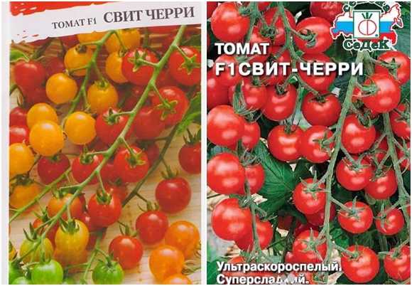 Характеристика и описание томат «свит-черри»