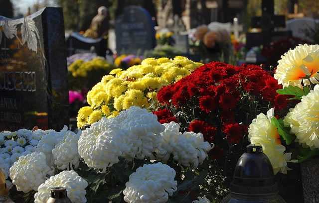 Застывшая красота: какие цветы посадить на кладбище