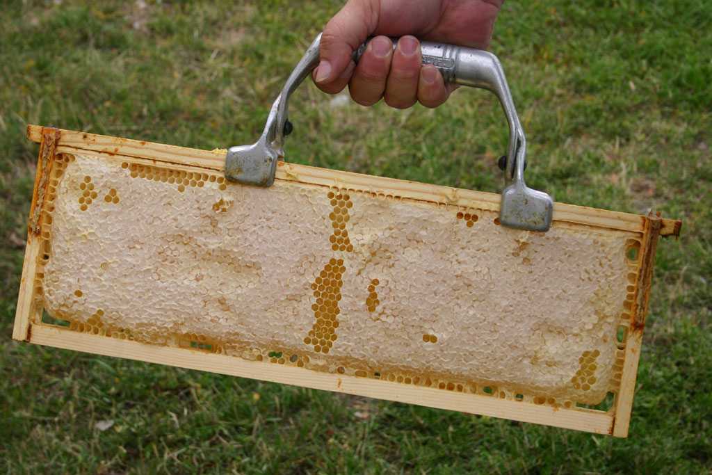 Вощины для пчел
