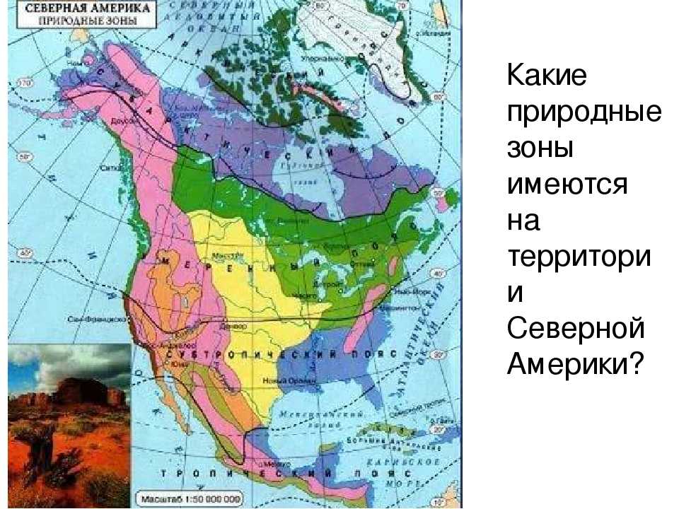 Самое самое северная америка 7 класс. Карта природных зон Северной Америки. Карта природных зон Америки. Карта природных зон Сев Америки. Карта природных зон Северной Америки 7 класс география.