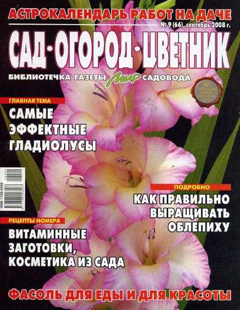 Ржавчина на лилиях что делать. как защитить лилии от болезней и вредителей, способы лечения
