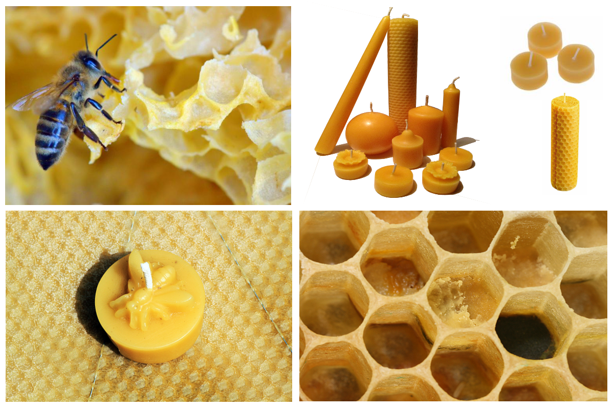 Что используют пчелы. Пчелиный воск. Восковые соты для пчел. Продукты пчеловодства воск. Молд для пчелиного воска.