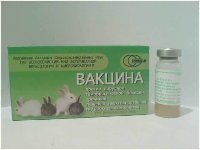 Вакцина раббивак v спасет кроликов от вгбк. описание вакцины для кроликов раббивак-в инструкция по применению рабивак 333