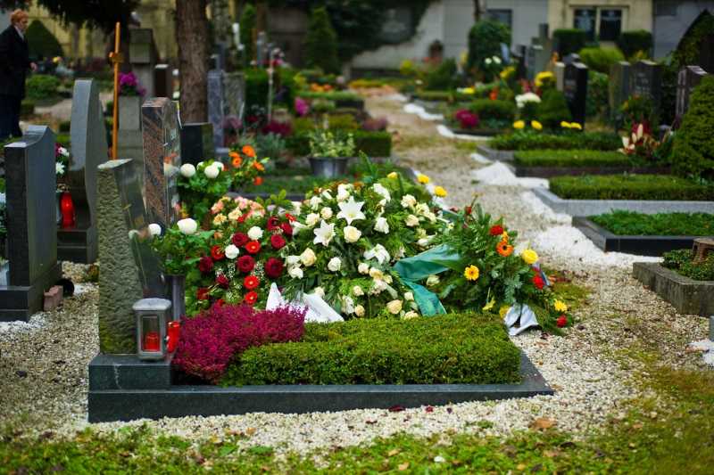 Цветы памяти. растения, которые можно посадить на могиле