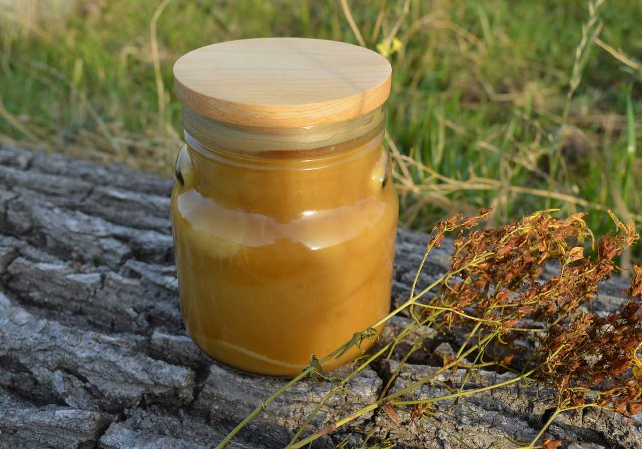 Редкий мед башкирии — дикий мед. уникальное лакомство от диких пчел