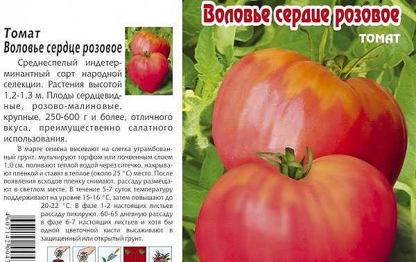 Томат бугай розовый: характеристика и описание сорта, урожайность, фото, отзывы