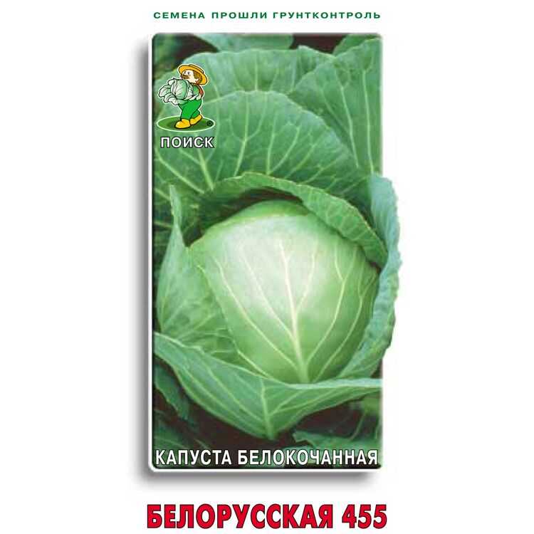 Капуста белорусская белокачанная: описание и характеристика сорта, достоинства и недостатки