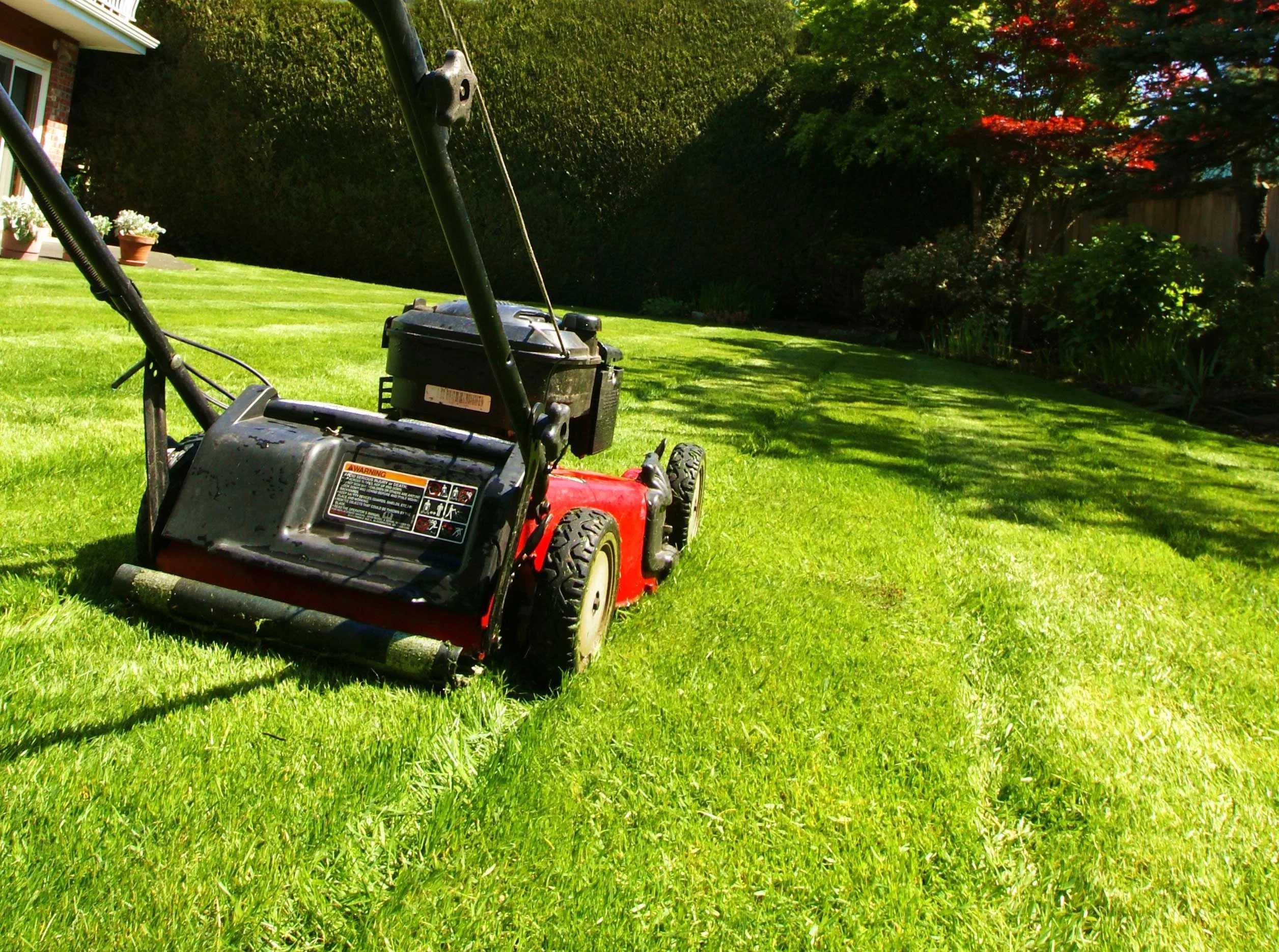 The lawn mower 5.0 ultra. Косилка газона Грин Гуд 12. Garden Fox газонокосилка gf13924. Мульчирование газона скошенной травой от газонокосилки. Стрижка газона.