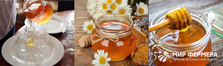 Как, где и в чём правильно хранить мед?