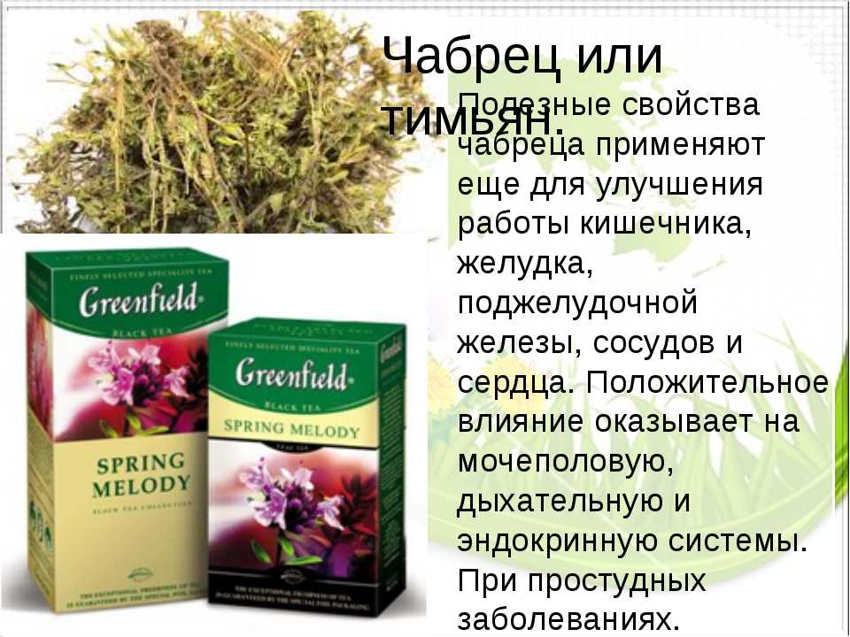Чабрец польза и вред для женщин. Лечебные травы чабрец. Чабрец лекарственное растение. Чай с чабрецом. Чем полезен чабрец.