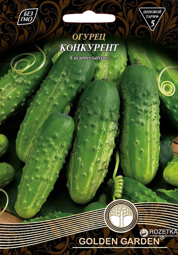 Огурец «конкурент»: особенности выращивания и уход