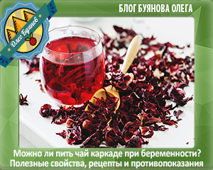 Каркаде - полезные и опасные свойства каркаде