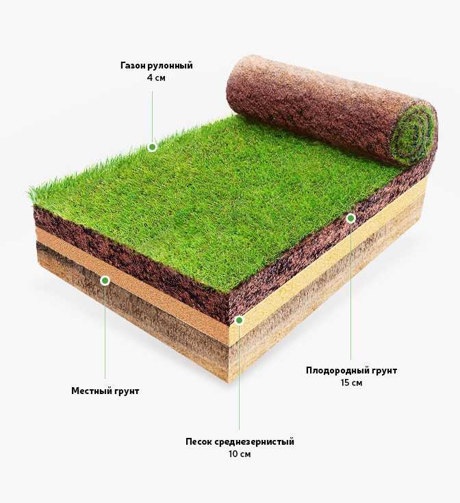 Как сделать газон своими руками: особенности укладки