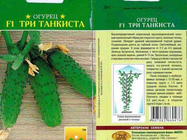 Все о сорте огурцов Эстафета : агротехника выращивания в теплице и грунте
