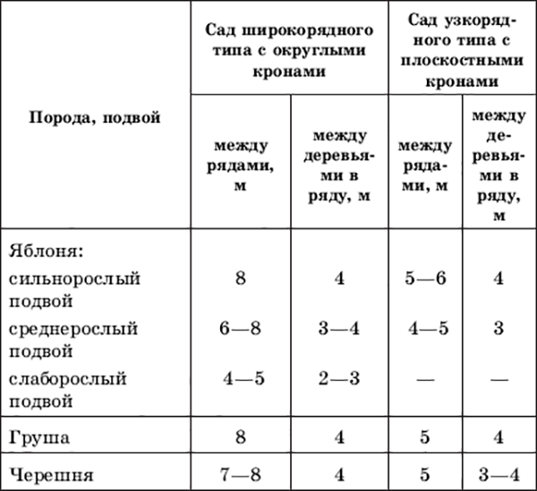 Схема посадки саженцев плодовых деревьев в саду